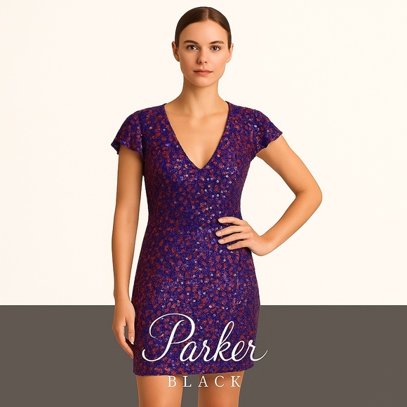 🆕🏷️ Parker Black Audry V-Neck Metallic Beaded Mini Cocktail Dress Sz 4 - Picture 3 of 14